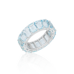 5B4A2847Ring2.png