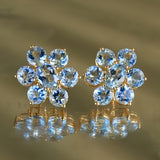 Aquamarine Cluster Earrings