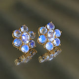 Moonstone Cluster Earrings