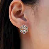 Aquamarine Diamond Cluster Earrings